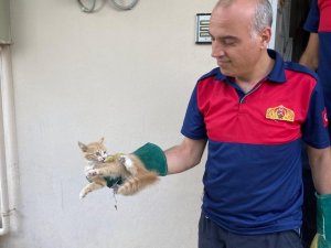 Havalandırma Boşluğundaki Kedi Kurtarıldı
