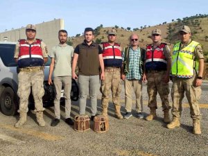 Siirt’te Kaçak Avcıya Tutanak Tutuldu