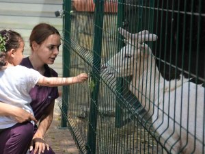 Babasının Yanına Bile Gelmeyince, Gerçek Ortaya Çıktı