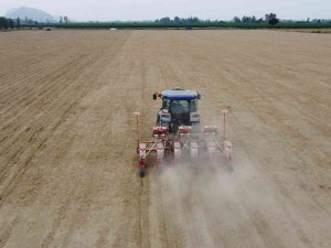 Çukurova’da Yer Fıstığı Ekimi Başladı