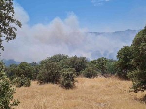 Bodrum’da Makilik Yangını