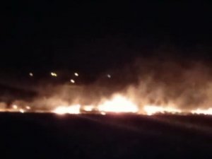 Arpa Ve Buğdaylar Yangında Küle Döndü