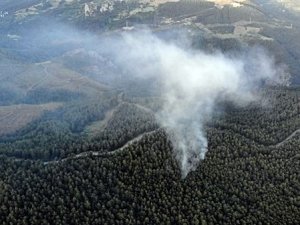 Sakarya’da Orman Yangını Büyümeden Söndürüldü