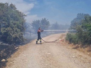 Bodrum’daki Yangın 3 Saatlik Çalışmayla Söndürüldü