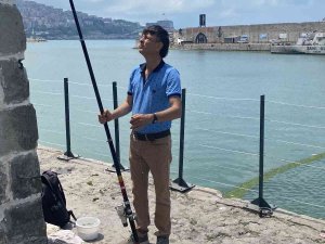 Yunuslar Binlerce İstavriti Limana Sıkıştırdı, Vatandaşlar Kova Kova Balık Avladı
