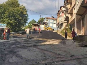 Ormanlı’da Asfalt Çalışmaları Başladı