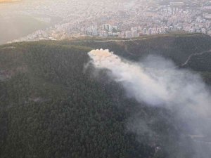 İ̇zmir’de Ormanlık Alanda Yangın