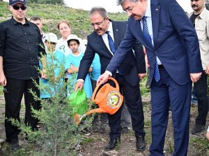 Osmaniye’de 150 Fidan Toprakla Buluşturuldu