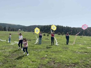 Jandarmanın Uçurtma Şenliğinden Renkli Görüntüler