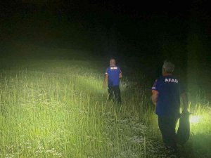 Tunceli’de Mantar Toplarken Kayalıklardan Düşen Şahıs, 3,5 Saatlik Çalışmayla Kurtarıldı