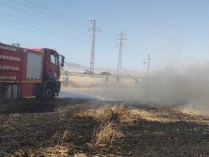 Mardin’de Buğday Ekili Arazide Yangın, 55 Dönüm Kül Oldu