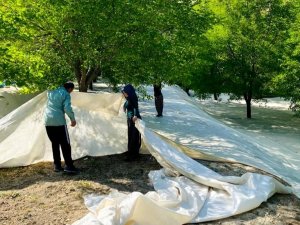Tescilli Ulukale Dutunda Çalışmalar Başladı