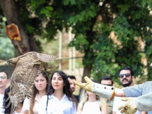 Tedavi Edilen Yırtıcı Kuşlar Doğaya Bırakıldı