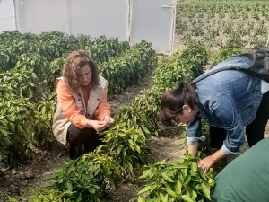 Seracıları Bilgilendirme Çalışmaları Devam Ediyor