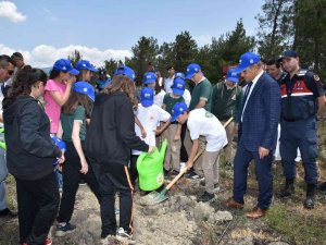 Karabük’te Küle Dönen Orman Dikilen Fidanlarla Yeşillenecek
