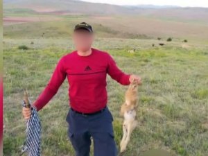 Vurdukları Tavşanı Köpeklere Parçalattırıp Sosyal Medyada Paylaştılar