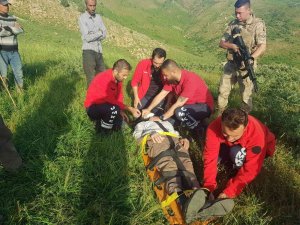 İ̇nek Tepmesi Sonucu Yaralanan Şahıs Hastaneye Yetiştirildi