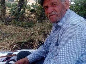 Çorum’da Keneden 1 Kişi Daha Öldü