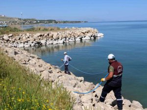 Van Büyükşehir Belediyesinin İlaçlama Çalışmaları Devam Ediyor