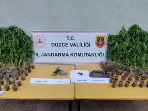 Jandarmadan Uyuşturucu Baskını