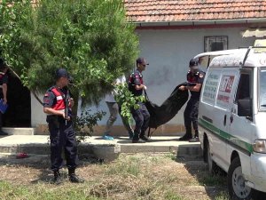 Cinayete Kurban Giden İ̇rem, Kocası Hakkındaki Şikayetini Geri Almış