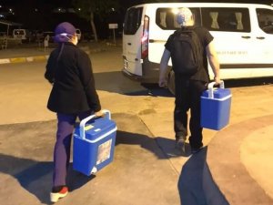 Beyin Ölümü Gerçekleşen Yaralının Organları 3 Hastaya Umut Oldu