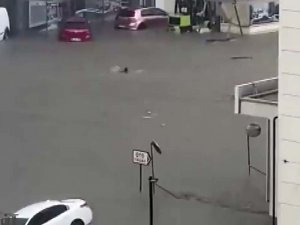Başkent’teki Selden Yüzerek Kaçtı