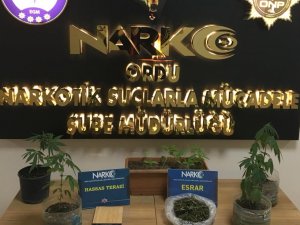 Ordu’da 3 Torbacı Tutuklandı