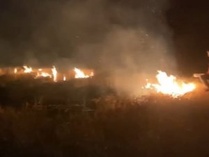 Arpa Tarlasında Çıkan Yangın Korkuttu