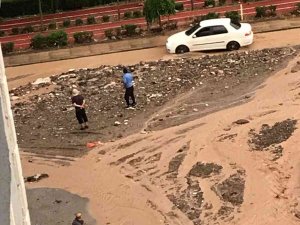 Siparişini Bırakan Motokurye Döndüğünde Motorunun Sele Kapıldığını Gördü