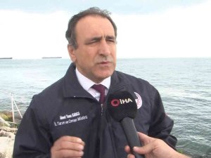 İ̇stanbul’da Marmara Denizi’nde ‘Pusula Deniz Anası’ Tehlikesi