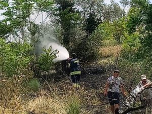 Altınova’da Ot Yangını Kısa Sürede Söndürüldü
