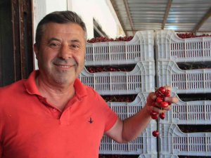 Bilecik’te 30 Yıldır Kurulan ’Kiraz Borsası’