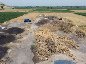 Narenciye Odunlarının Zorlu Kömüre Dönüşümü