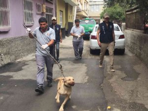 Bagajda Taşınan Köpek Barınağa Teslim Edildi