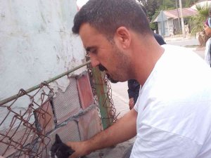 İ̇ki Duvar Arasında Sıkışan Kediyi Belediye Personeli Kurtardı