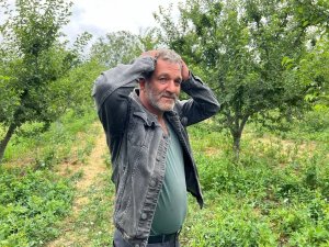 Erik Tarlası Soyulan Çiftçiden Hırsıza Mesaj: "İ̇şçilik Güzel Kendisiyle Çay İçmek İstiyorum"