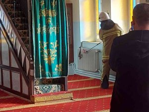 Camide Yılan Paniği