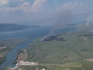 Muğla’da Sazlık Yangını