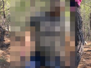 Belediye İşçisi Ağaçta Asılı Halde Bulundu