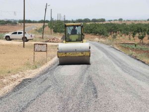Şanlıurfa Kırsalında Asfalt Çalışması