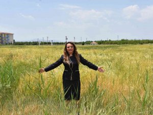 Mtü’den Tahıl Üretimine Destek