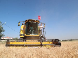 Tahmazoğlu Çiftçinin Hasat Sevincine Ortak Oldu