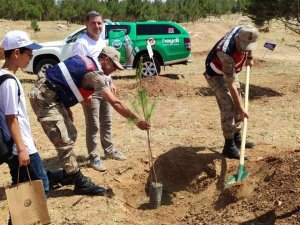 Mardin’de Fidanlar Toprakla Buluştu