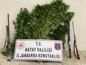 Hatay’da Uyuşturucu Operasyonu
