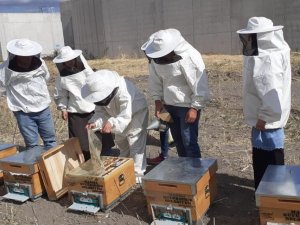 Büyükşehirin Bu Projesi Meslek Sahibi Yapıyor