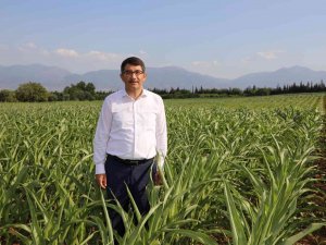 Şehzadeler Belediyesi Tarımsal Desteklemelerine Yenilerini Ekliyor