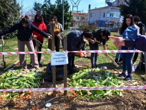 Pazardan Toplanan Organik Atıklar, Toprağı Yeşertecek