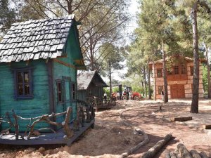 Kepez’in Orman Kütüphanesi Açılıyor