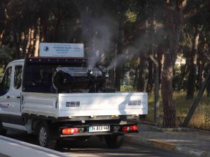 Kartal’da Vektörle Mücadele Ve İlaçlama Hizmetleri Devam Ediyor